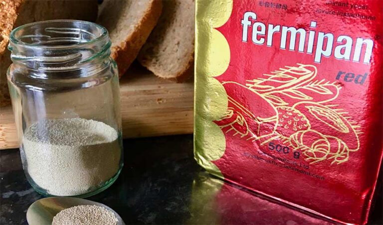 Perbedaan Fermipan dan Ragi Instan